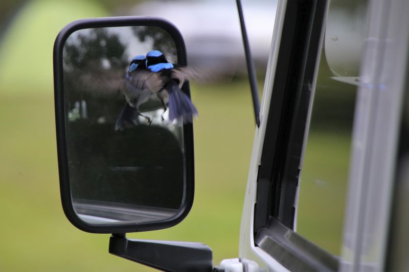 05_greatoceanroad_06